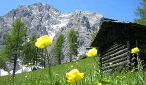 landschaft-sexten