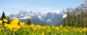 landschaft-sexten3